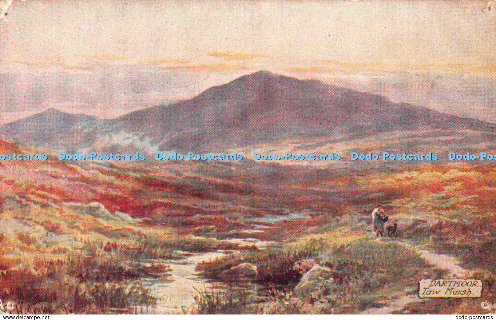 R446025 Dartmoor Taw Marsh Dartmoor Tuck Oilette No 7633