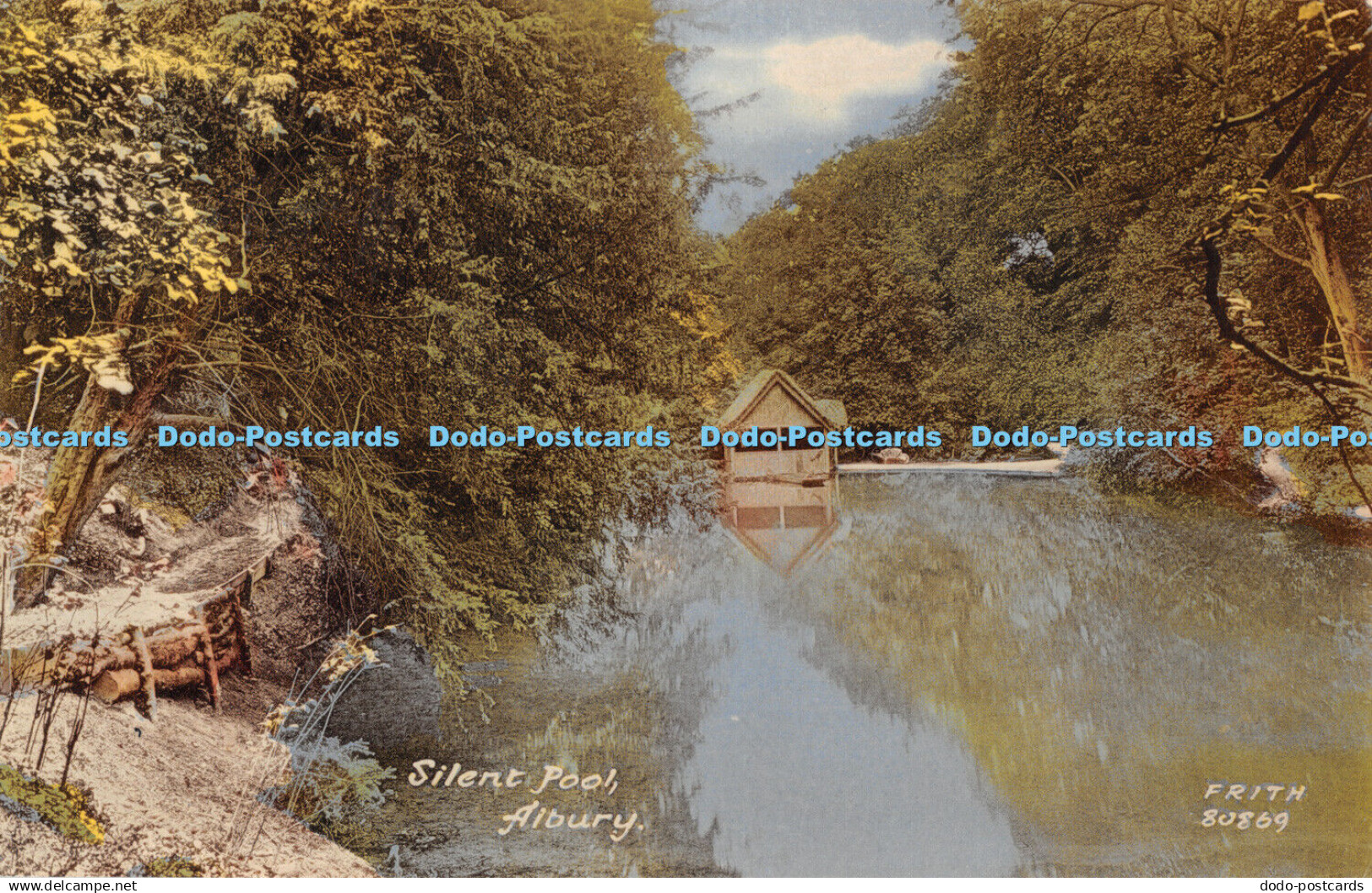 R457156 Albury Silent Pool F Frith Postcard