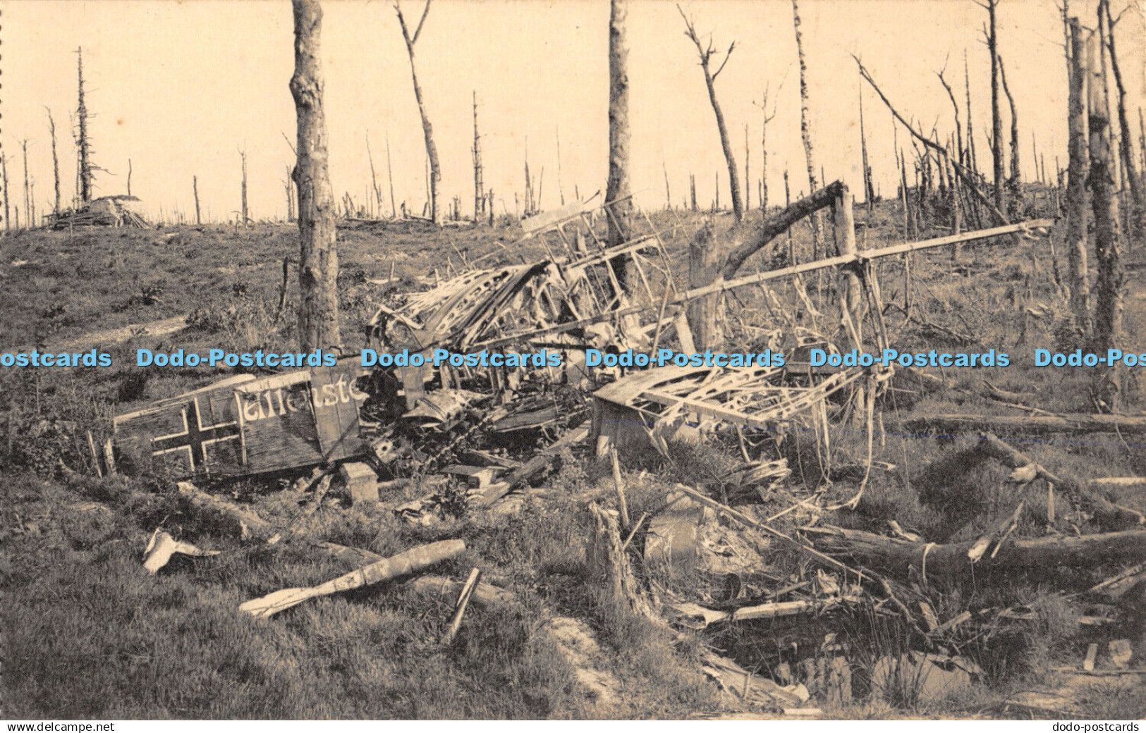 R459377 Nels Ruines de la Foret dHouthulst The ruins of the Houthulst Forest 191