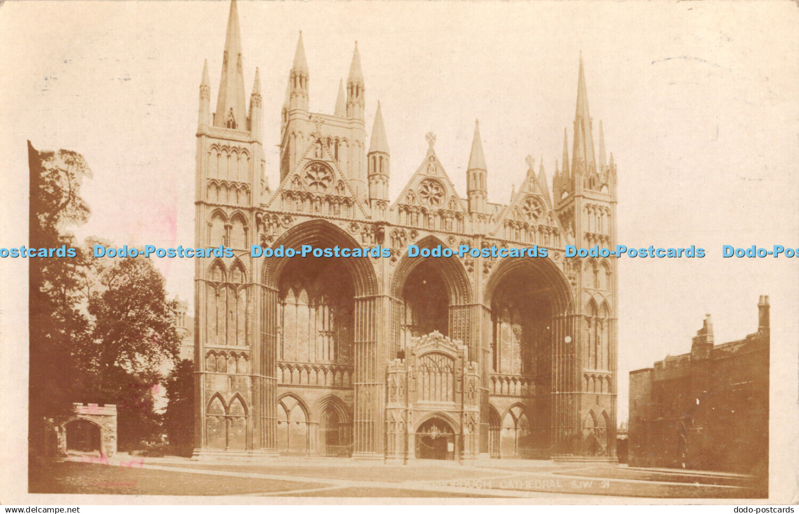 R461614 Peterborough Cathedral Postcard