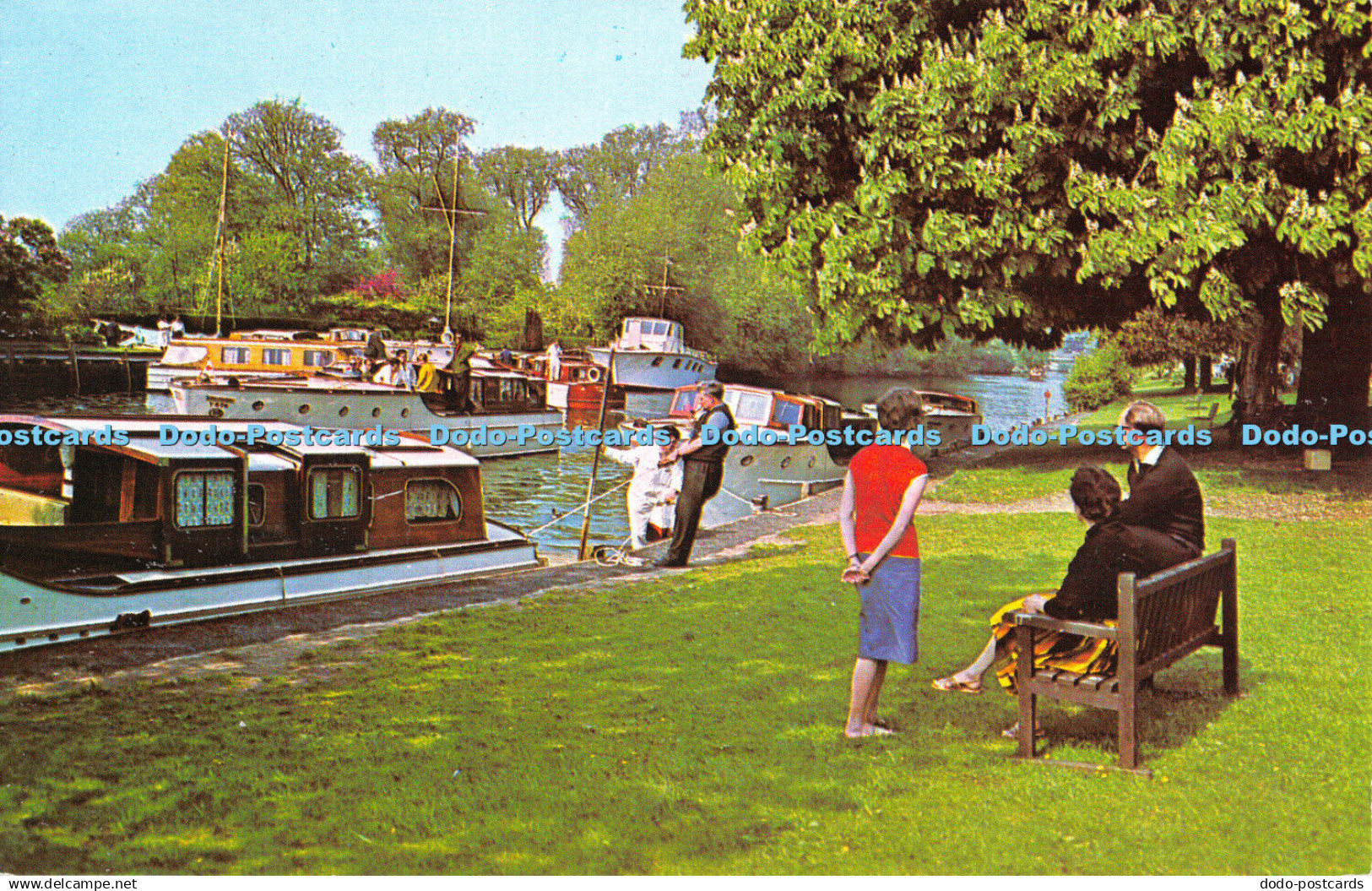 R484004 Norfolk Broads The River Yare at Thorpe Green