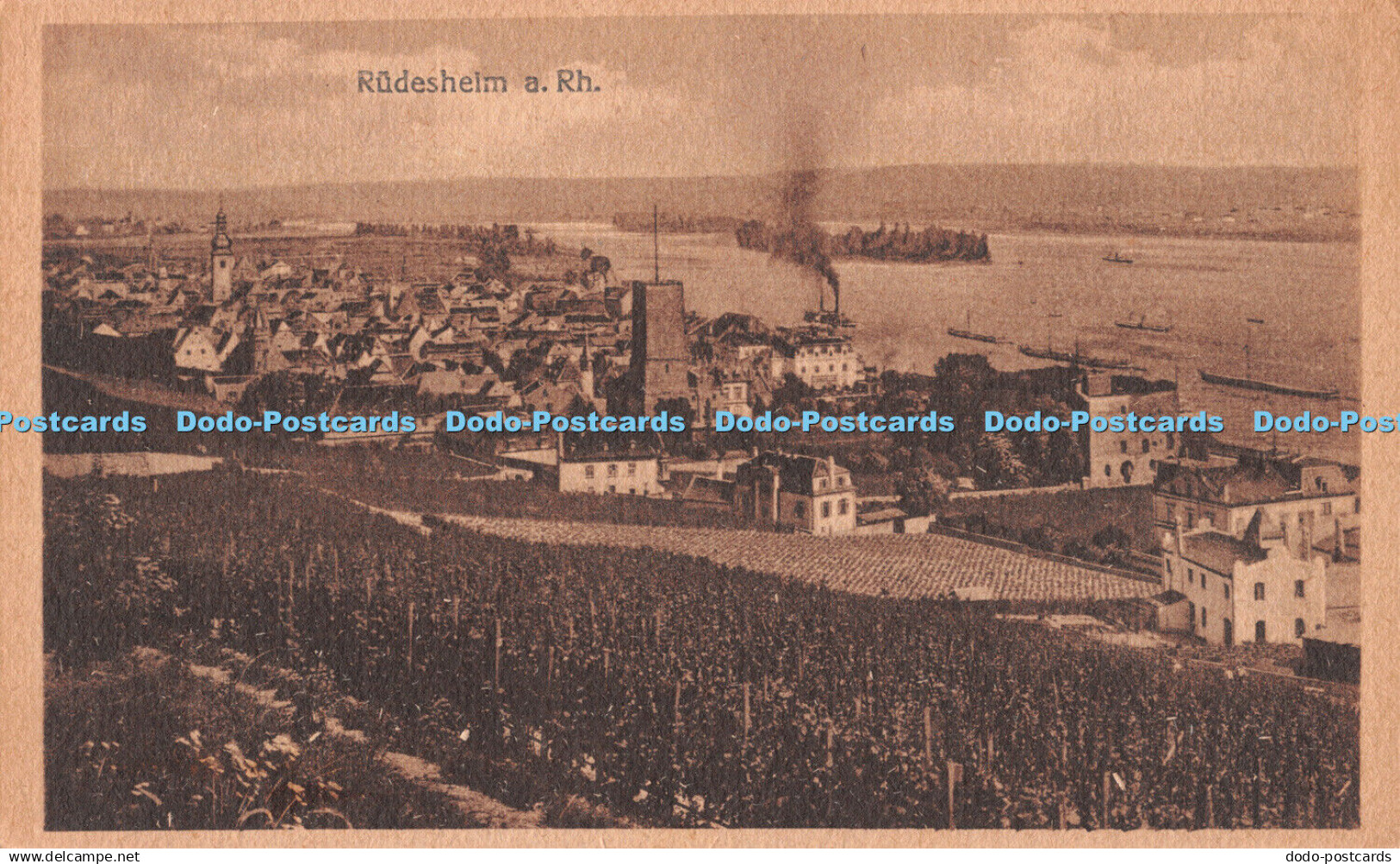 R492934 Rudesheim a Rh