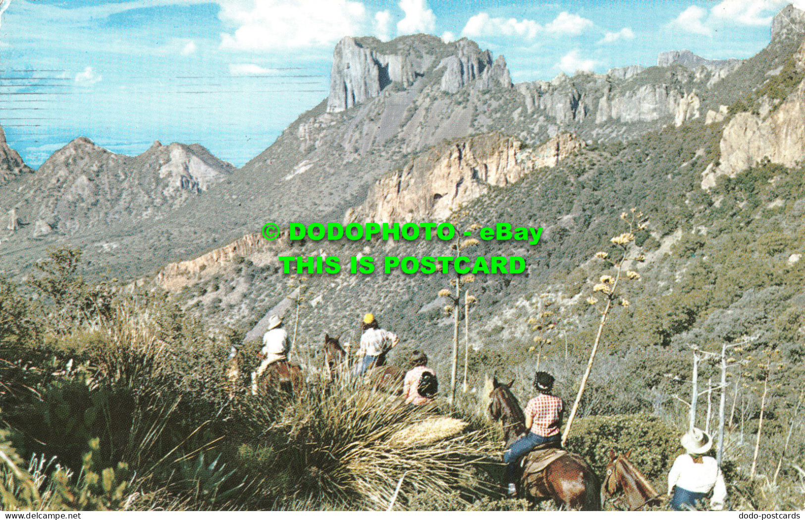 R494499 Texas. South Rim Trail. Big Bend National Park. National Park Concession