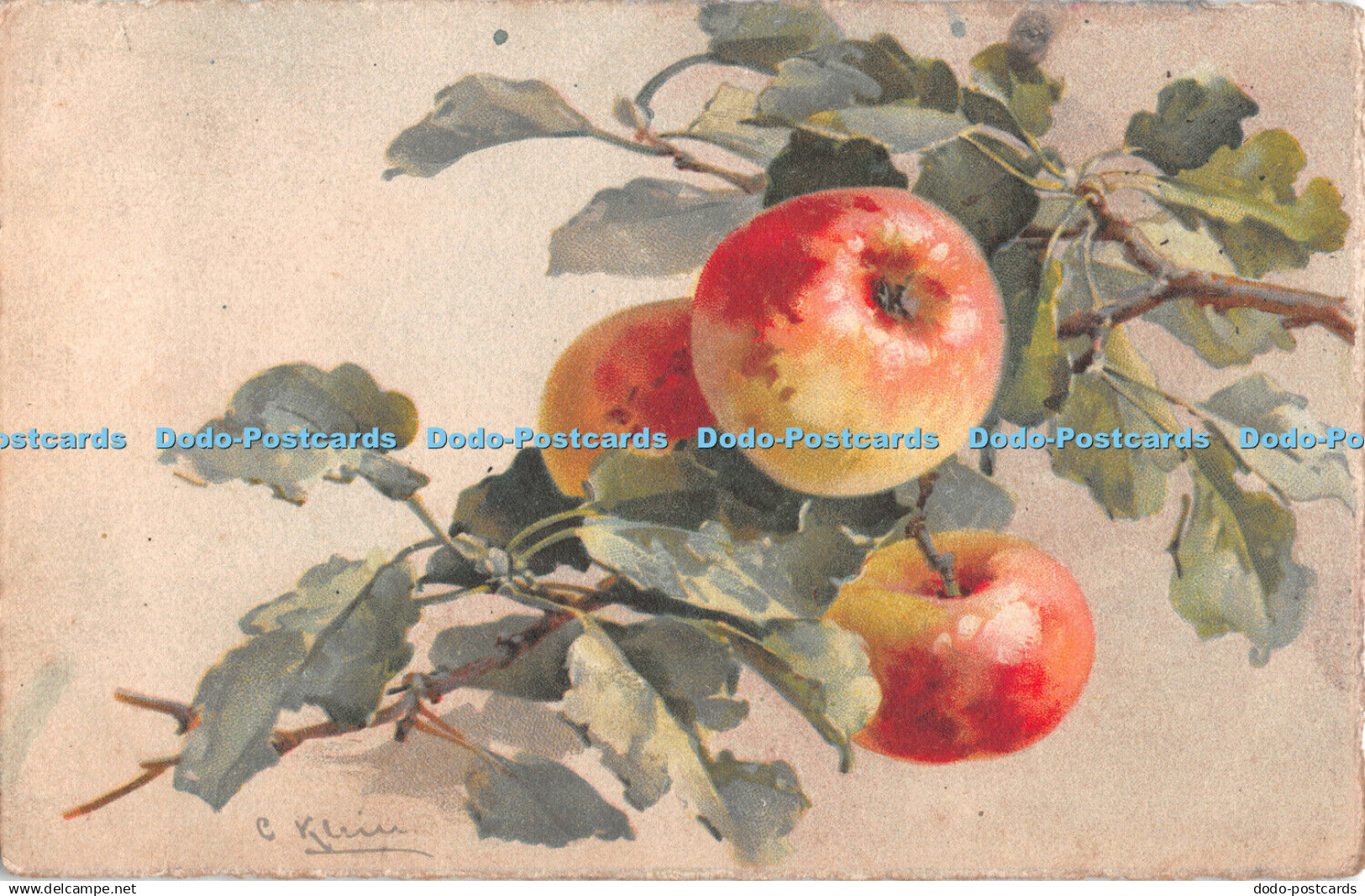 R494833 Apples Painting Postcard No 133