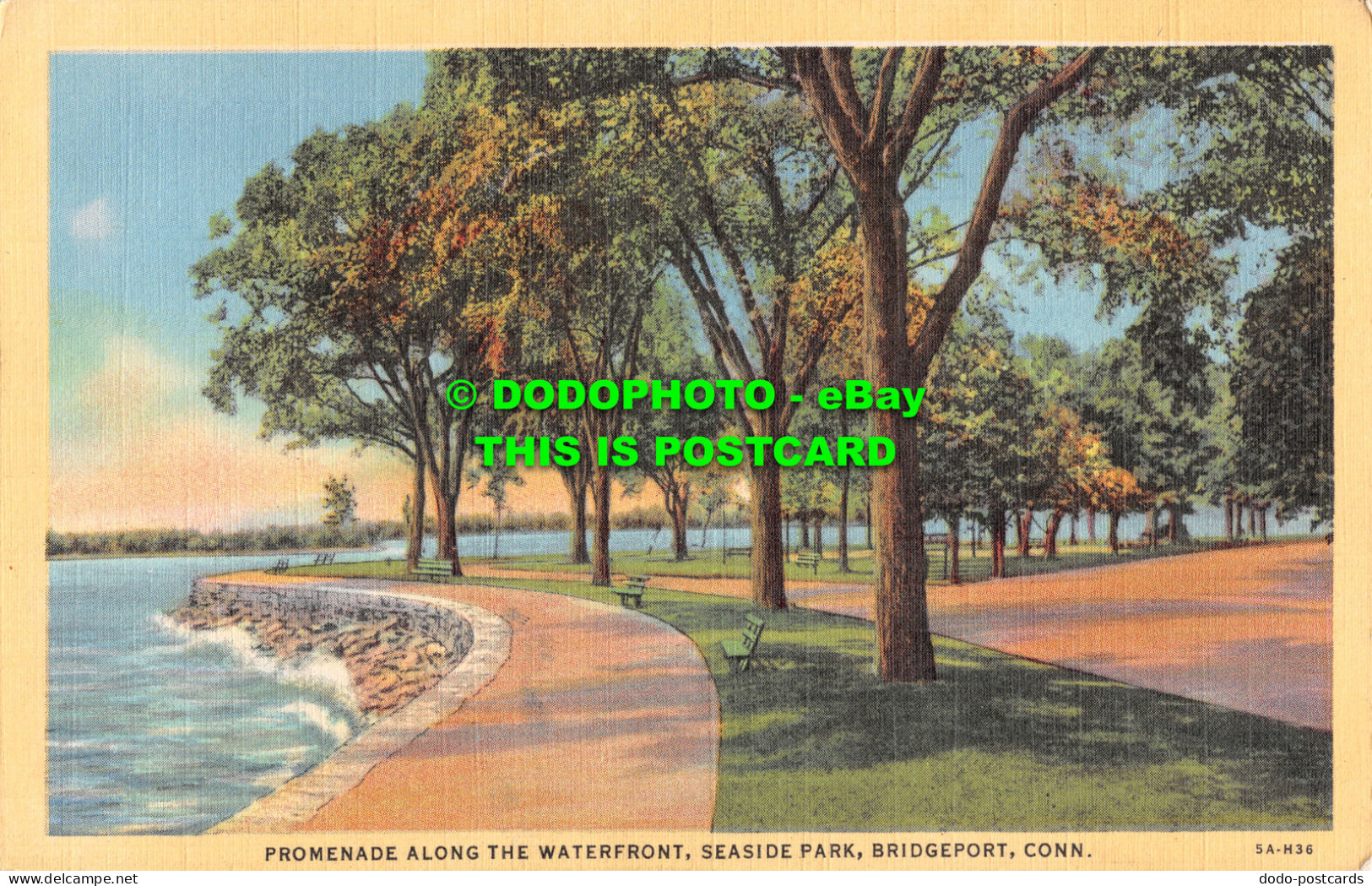 R497557 Conn. Promenade Along the Waterfront. Seaside Park. Bridgeport. A. Kleba