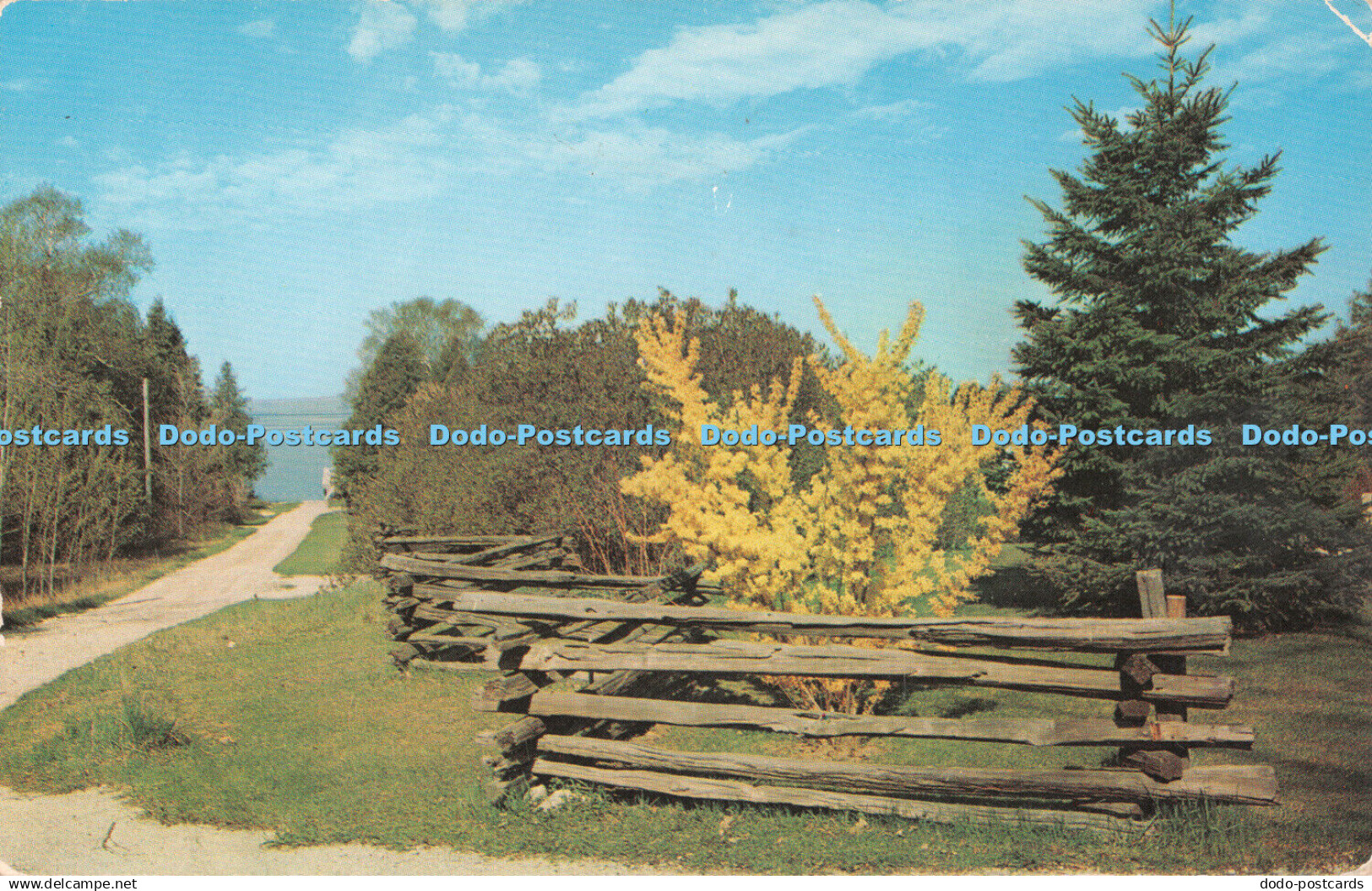 R513302 Vacationland Scene Forsythia L L Cook Kodachrome