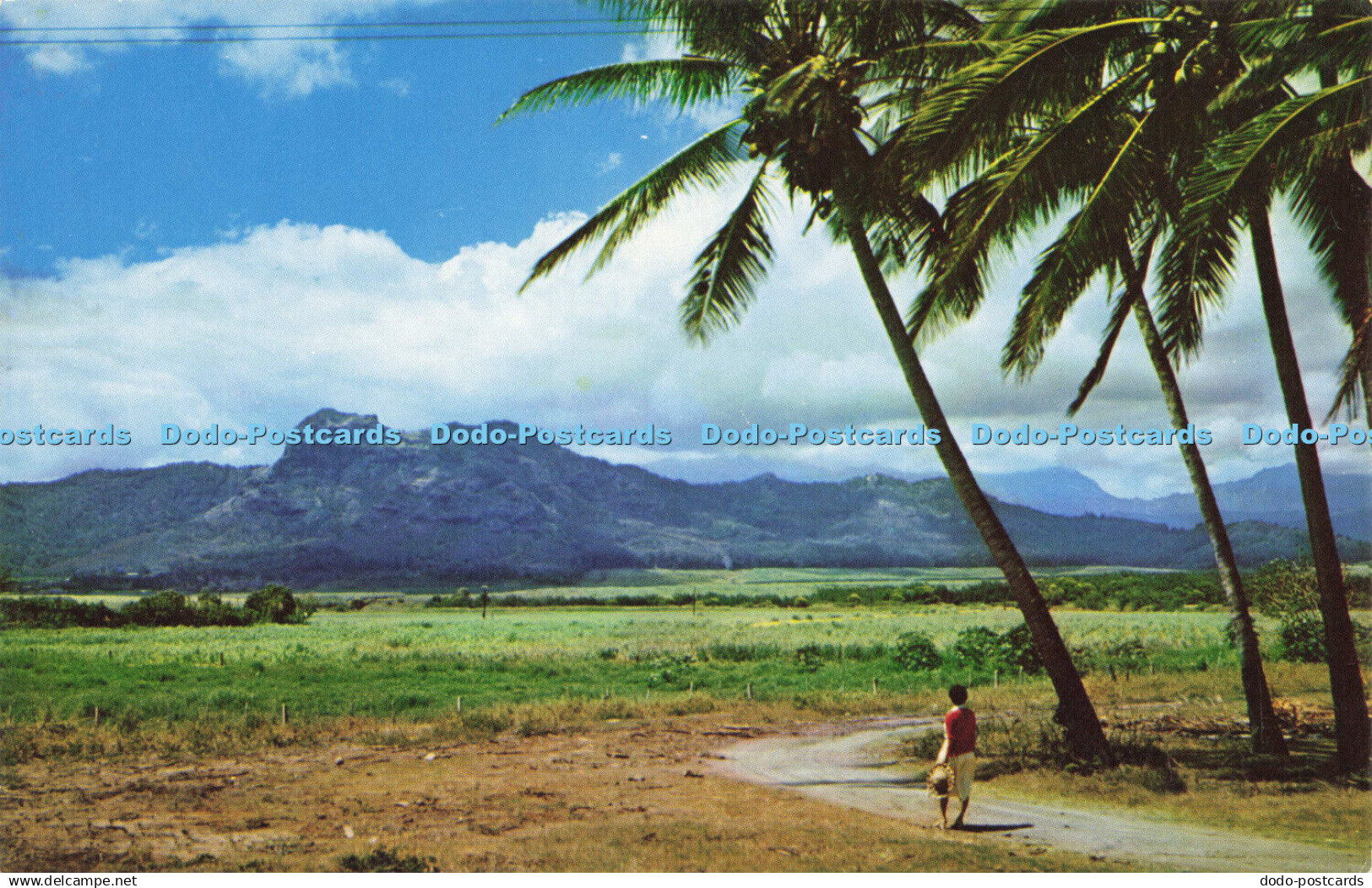 R578941 Kauai Kapaa Sleeping Giant Movie Supply of Hawaii Mike Roberts W J Senda