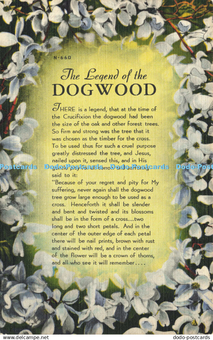 R585653 The Legend of the Dogwood Asheville Post Card