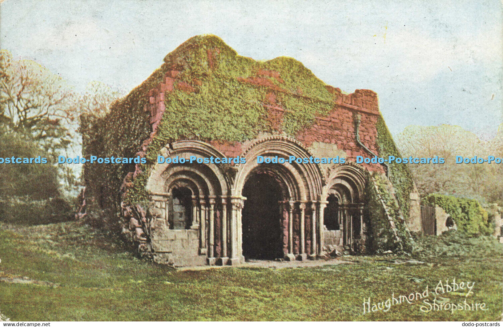 R589191 Haughmond Abbey Shropshire