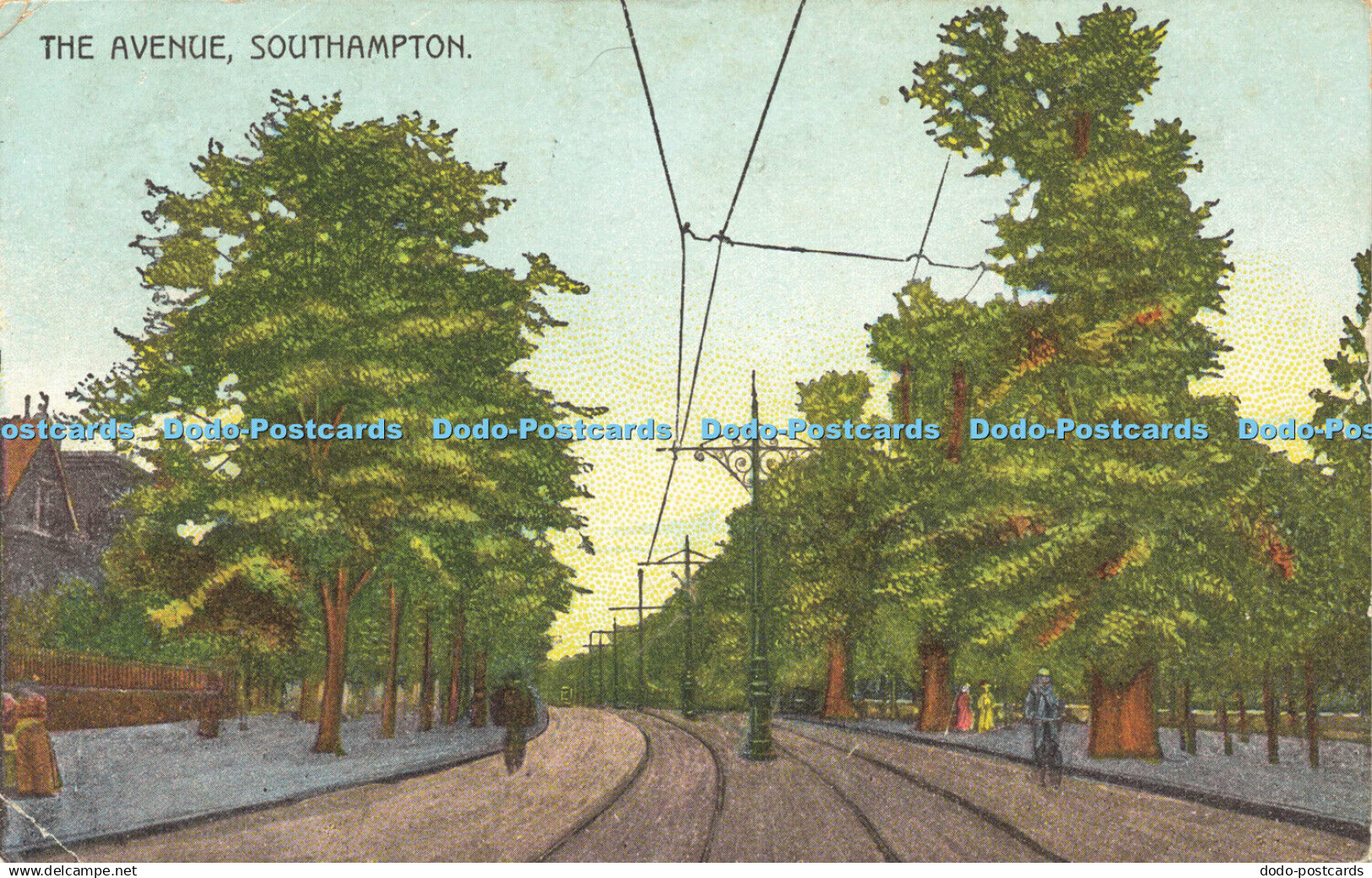 R592663 Avenue Southampton Gale and Thomas Southampton and Portsmouth 1906