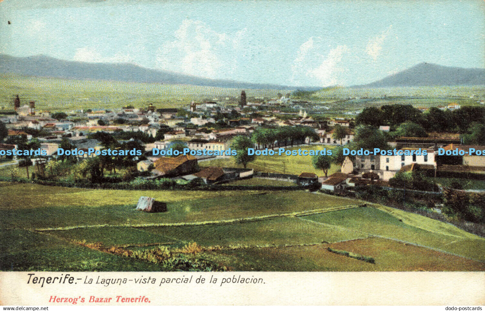 R599340 Tenerife La Laguna vista Parcial de la Poblacion Herzog Bazar Tenerife