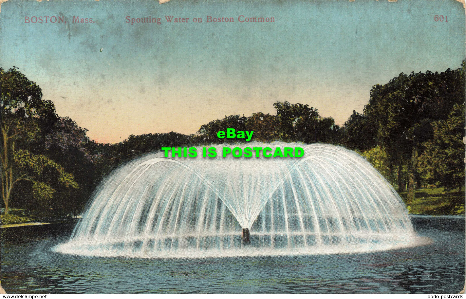 R601898 Boston. Mass. Spouting Water on Boston Common