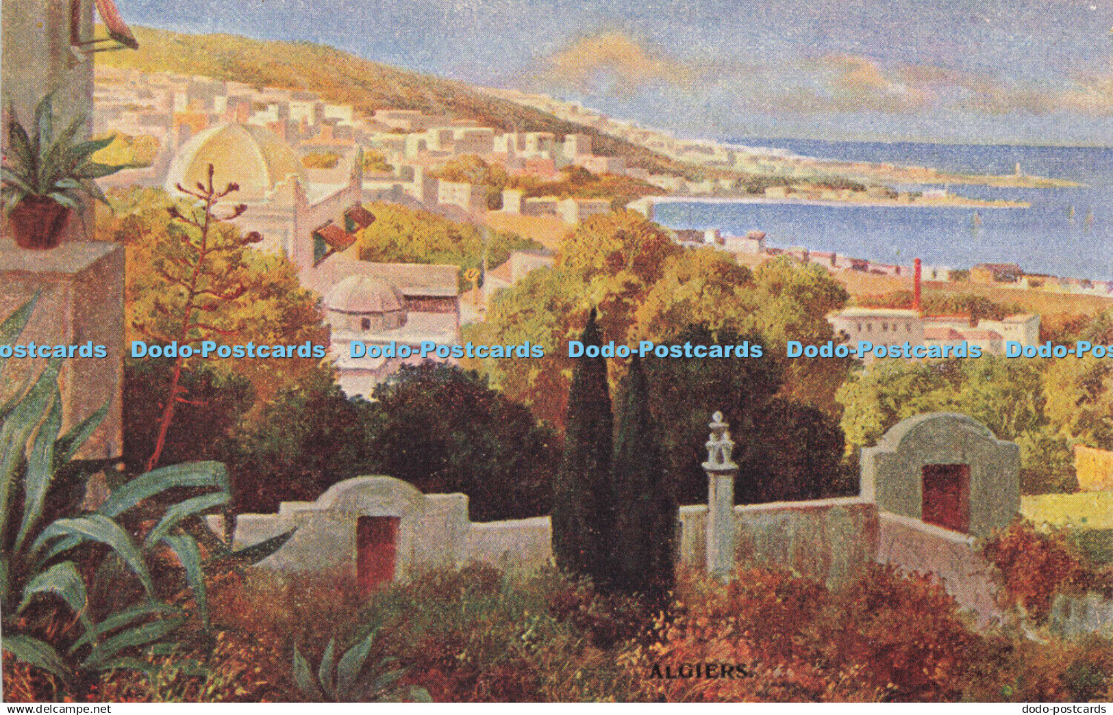 R610347 Algiers Algerian Views Series No 5382 S Hildesheimer