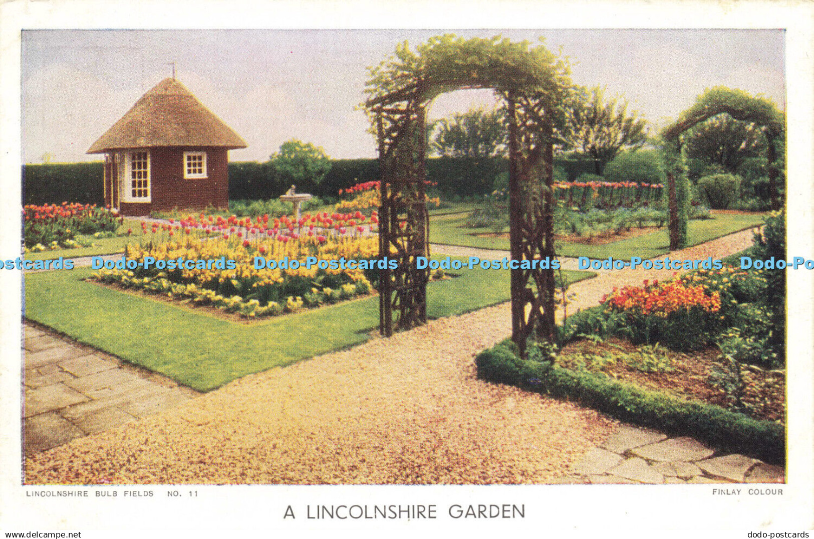 R621600 Lincolnshire Garden Lincolnshire Bulb Fields No 11 Finlay Colour Valenti