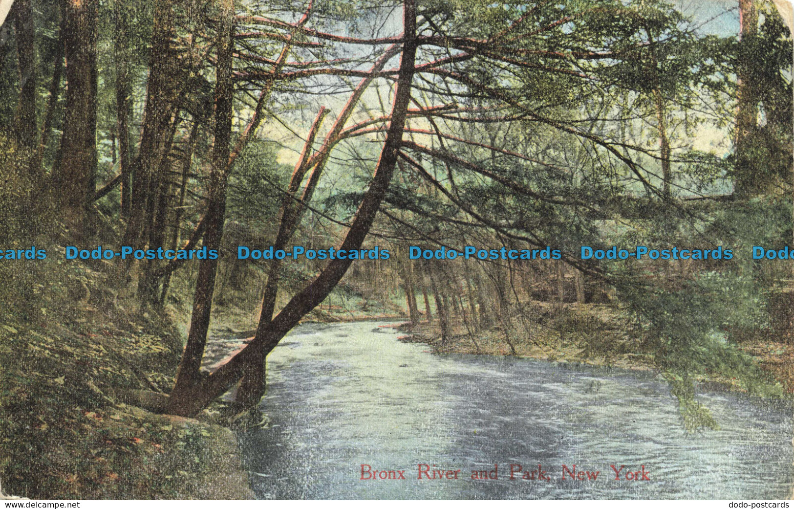 R661646 New York. Bronx River and Park. Success Postal Card. No. 1130