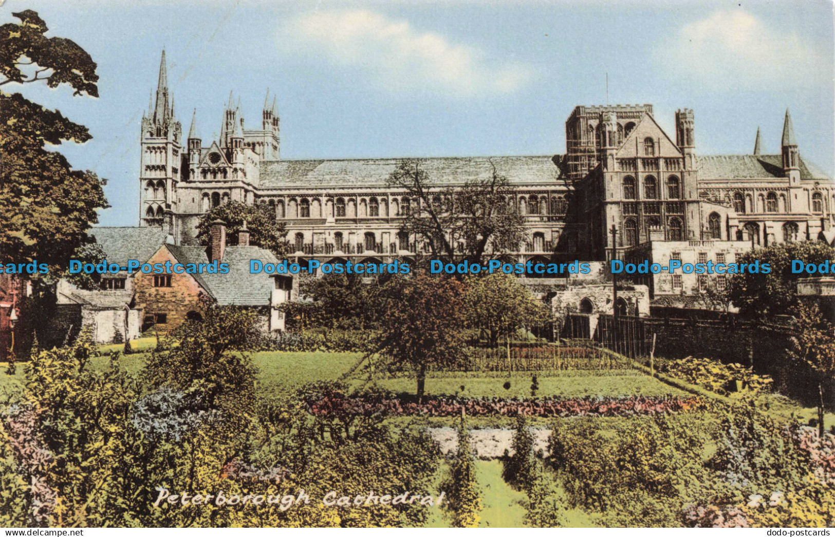 R672905 Peterborough Cathedral. Postcard