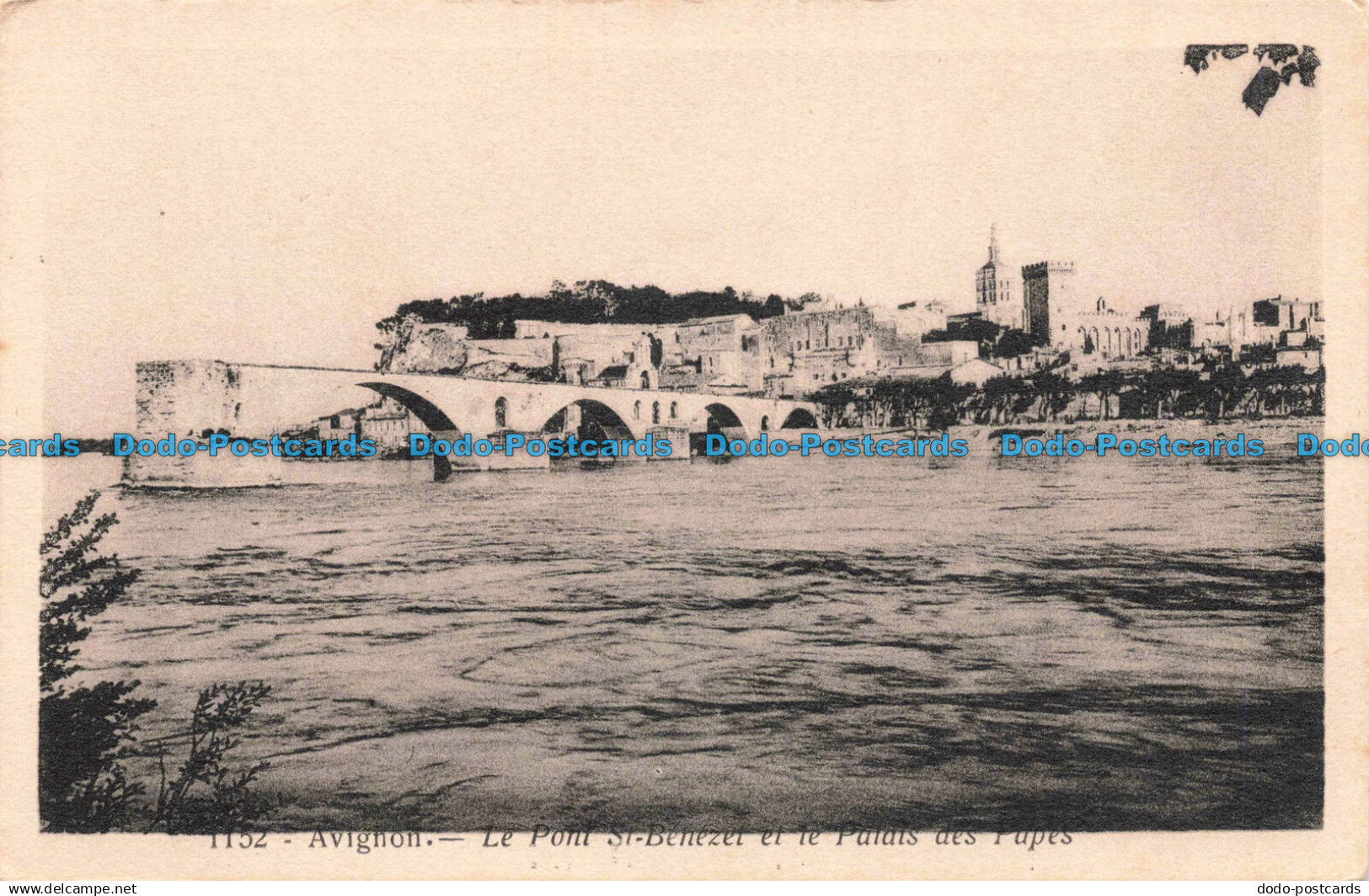 R676775 Avignon. Le Pont St. Benezet et le Palais des Papes. La Cigogne