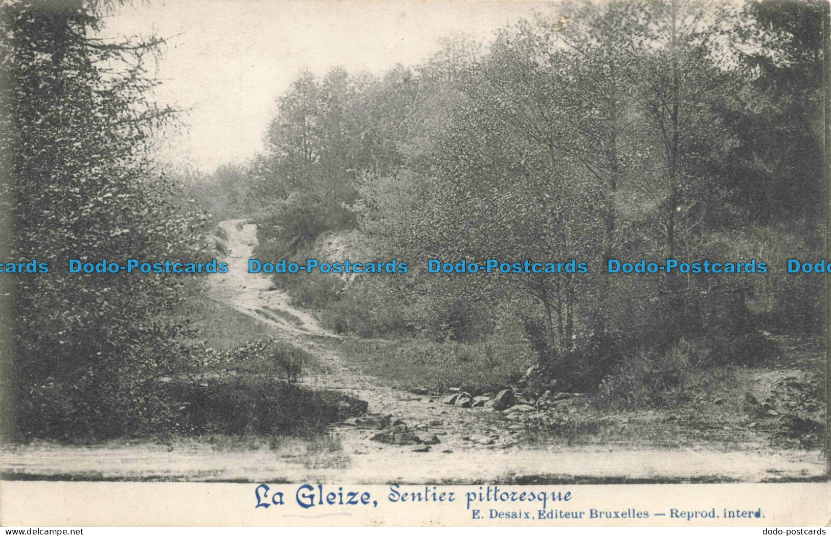 R678845 La Gleize. Sentier Pittoresque. E. Desaix. 1918