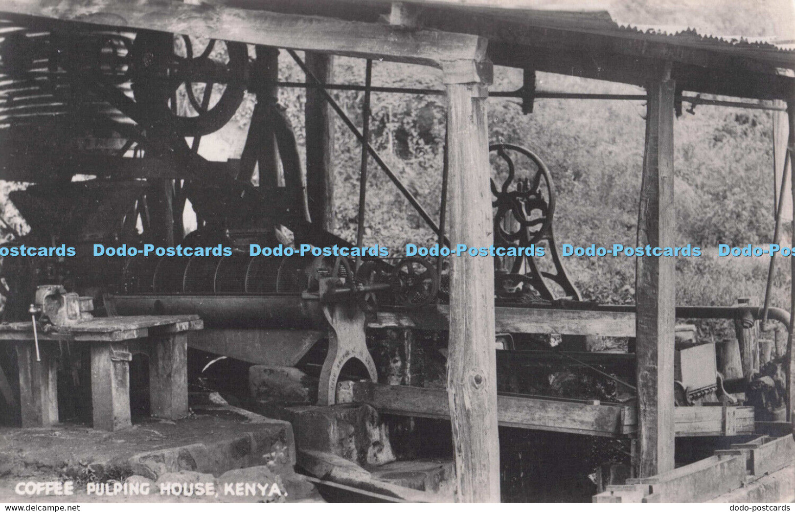 R695170 Kenya. Pulping House. Watkinson. 1948