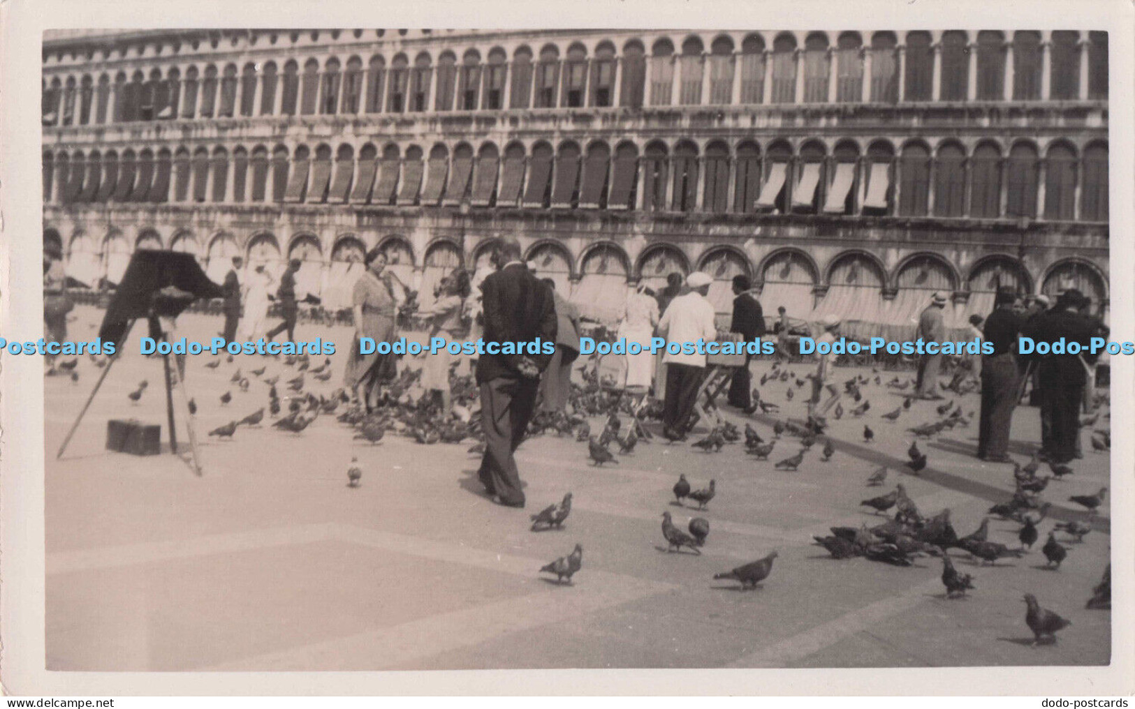 R699185 Venice. St Mark Square