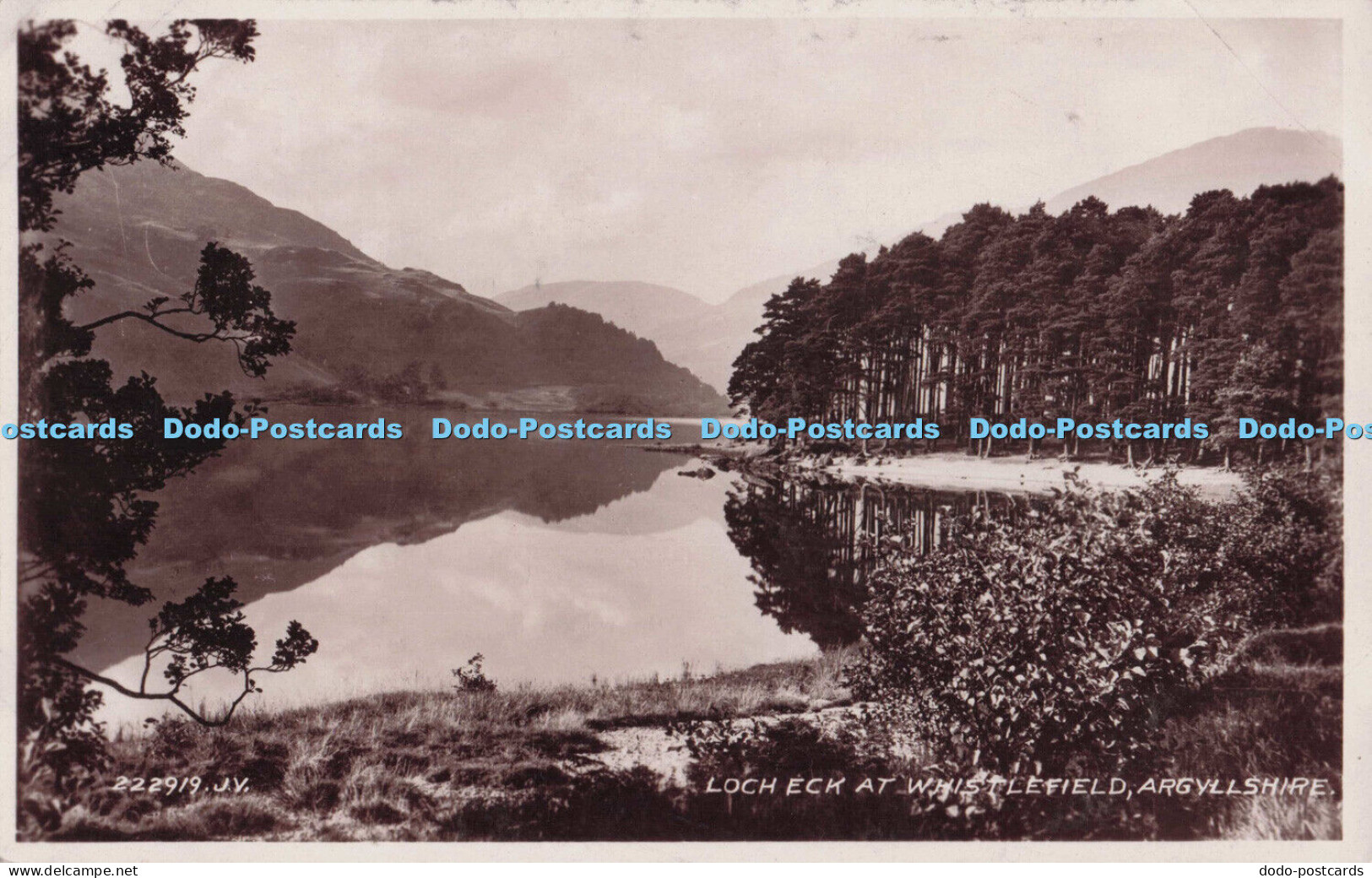 R701338 Argyllshire. Loch Eck at Whistlefield. Valentine. RP