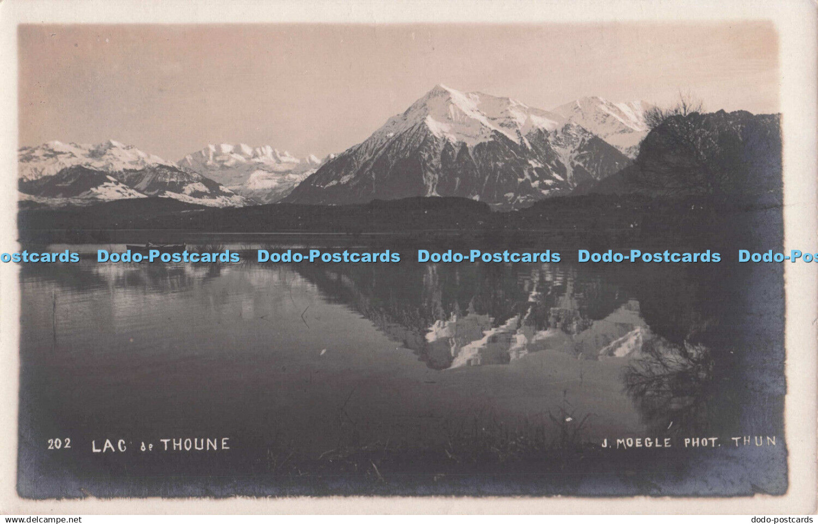 R702855 Thun. Lac de Thoune. J. Moegle