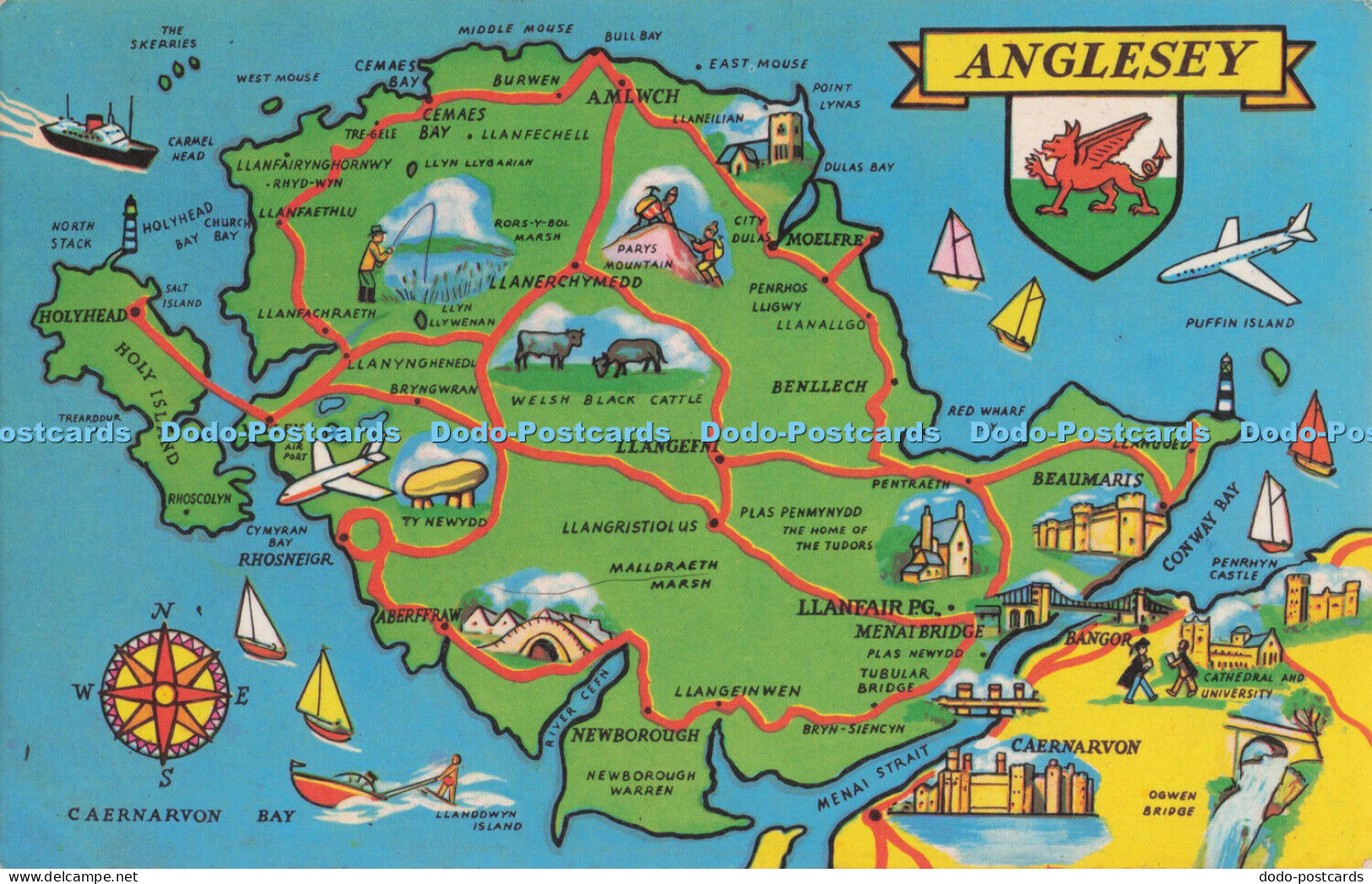 R705653 Anglesey. The Map. Postcard