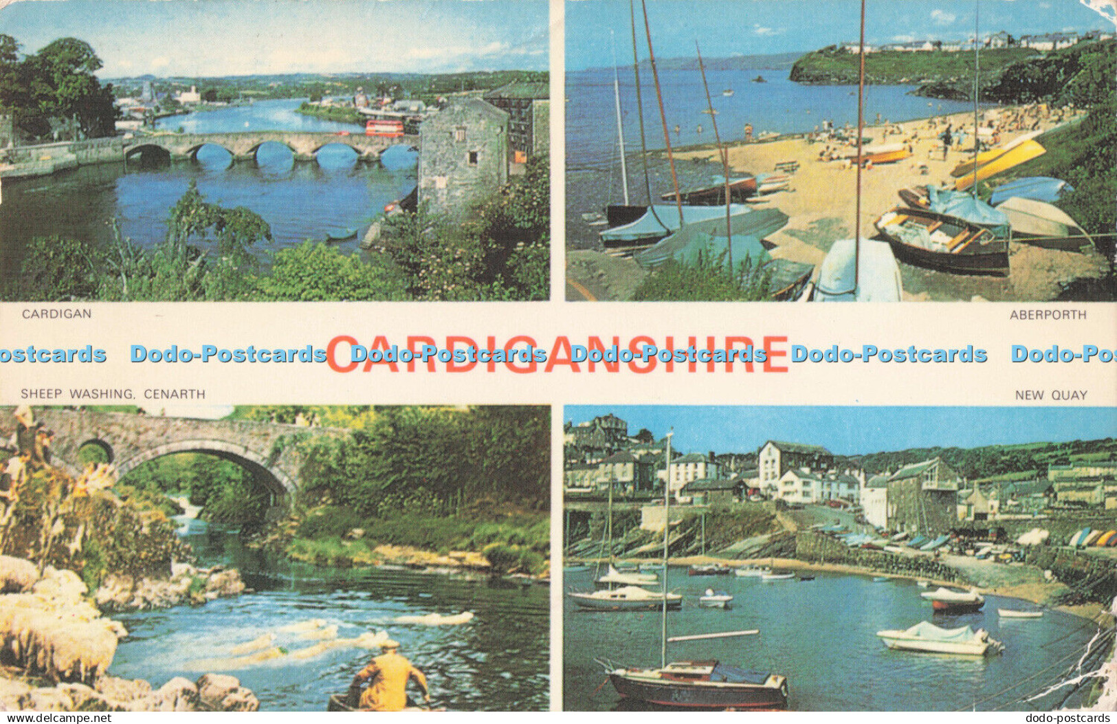 R725550 Cardiganshire Cardigan New Quay Jarrold Norwich England 1976 Multi View