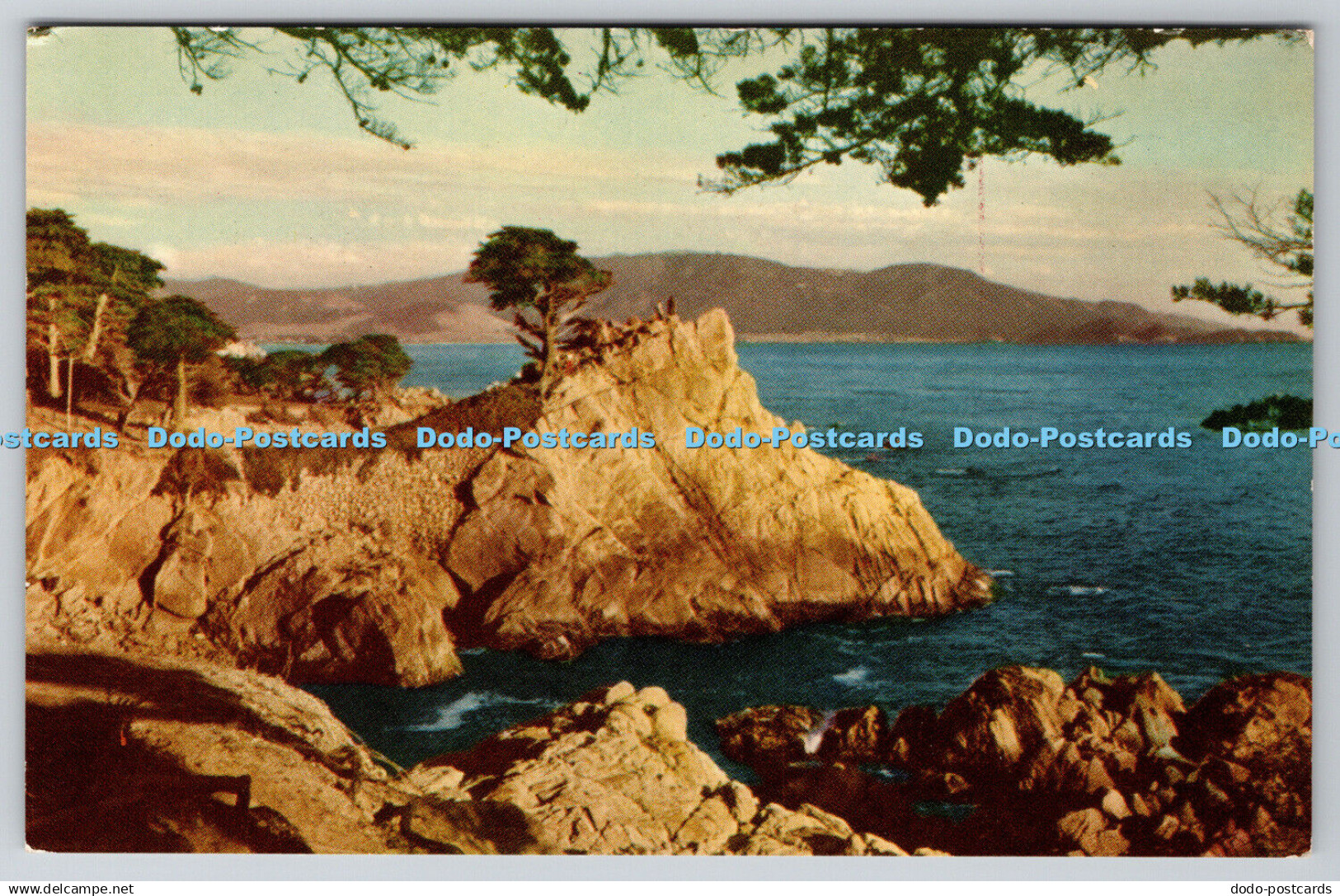 R739296 Calif Midway Point Monterey Peninsula Bell Magazine Agency Pacific Grove