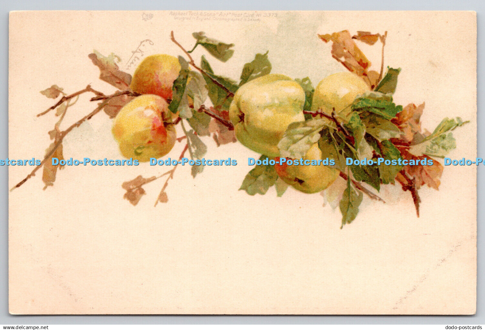 R742538 Apples Raphael Tuck and Sons Art Postcard No 3373