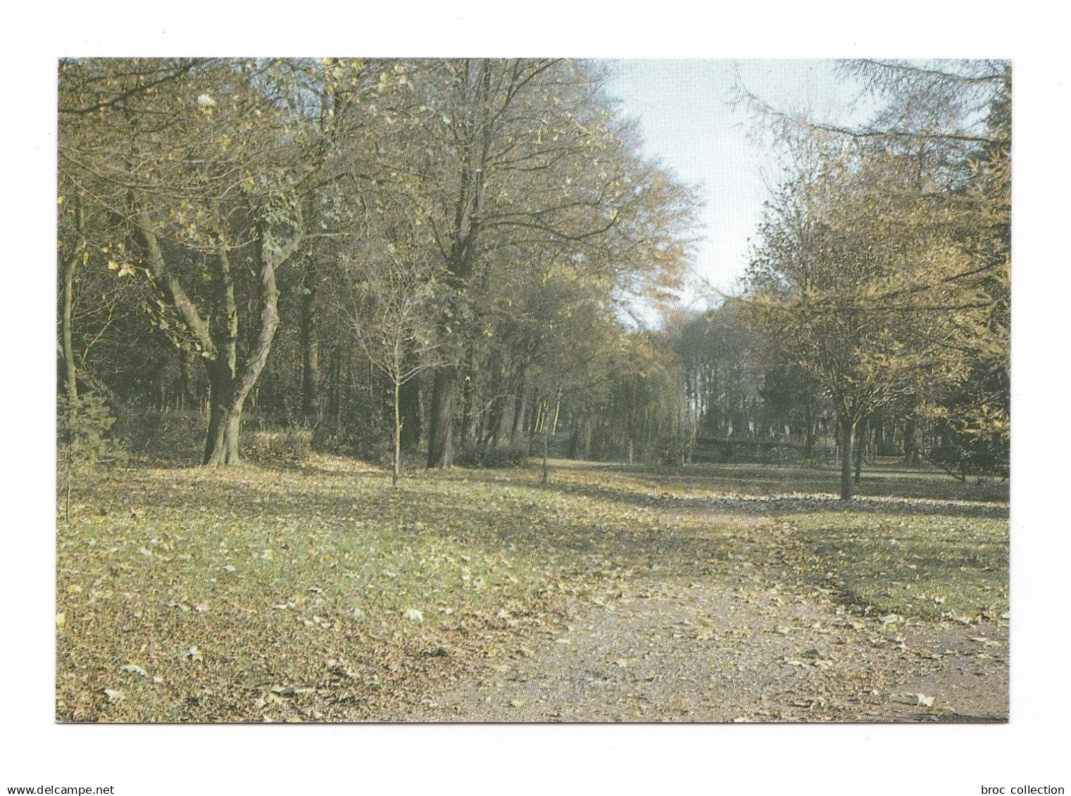 Raismes, maison diocésaine, couleurs d'Automne, Photo X