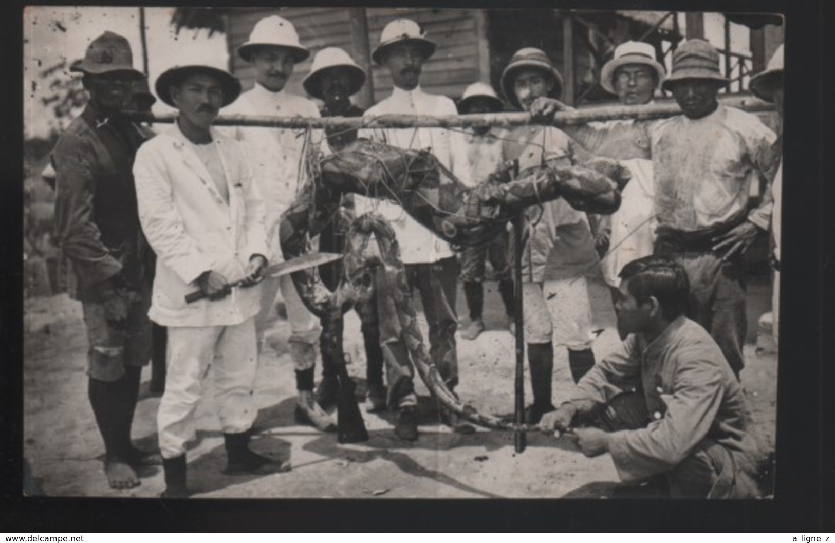 REF 452 : CPA Chine China écrite à Shanghai Carte Photo Chasse Serpent Anaconda colonial