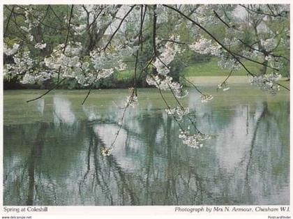 Coleshill Buckinghamshire Womens Institute Postcard