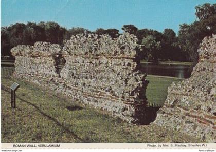 Roman Wall Verulamium Herts Hertfordshire Womens Institute Postcard