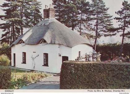 Shenley Village Herts Hertfordshire Womens Institute Postcard