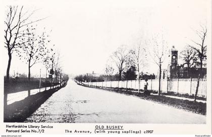 The Avenue Old Bushey Hertfordshire in 1907 Postcard