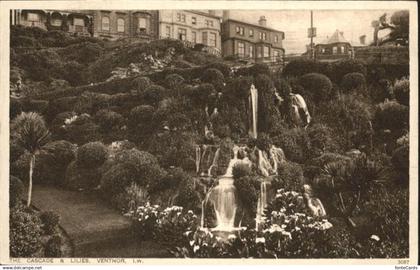 10927866 Ventnor Isle of Wight Ventnor Cascade Lilies *