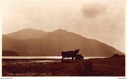 Scotland Argyllshire - Head of LOCH LONG