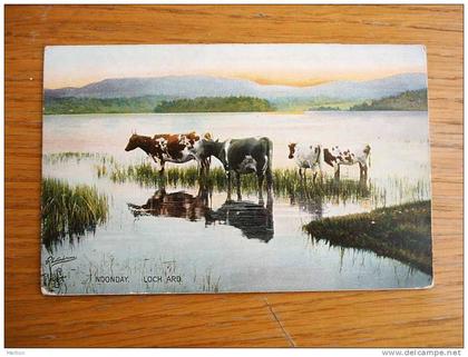 Loch Ard, Stirlingshire , Scotland , Noonday , cows    cca 1910-20    VF   D7548