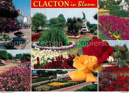 73607468 Clacton-on-Sea in bloom Park Flowers Clacton-on-Sea