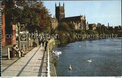 72397013 Worcester Worcester Cathedral form the River Severn Worcester