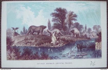 London Sydenham - Crystal Palace: Extinct Animals / Dinosaurs (no Postcard - historic print CPA-format 1870?)