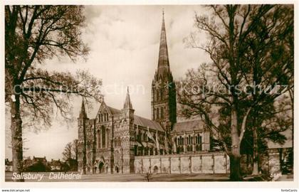 73508544 Salisbury Wiltshire Cathedral