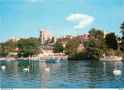 Angleterre - Windsor Castle - Thames Windsor - Château de Windsor - Berkshire - England - Royaume Uni - UK - United King