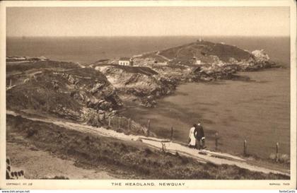 11004625 Newquay Headland