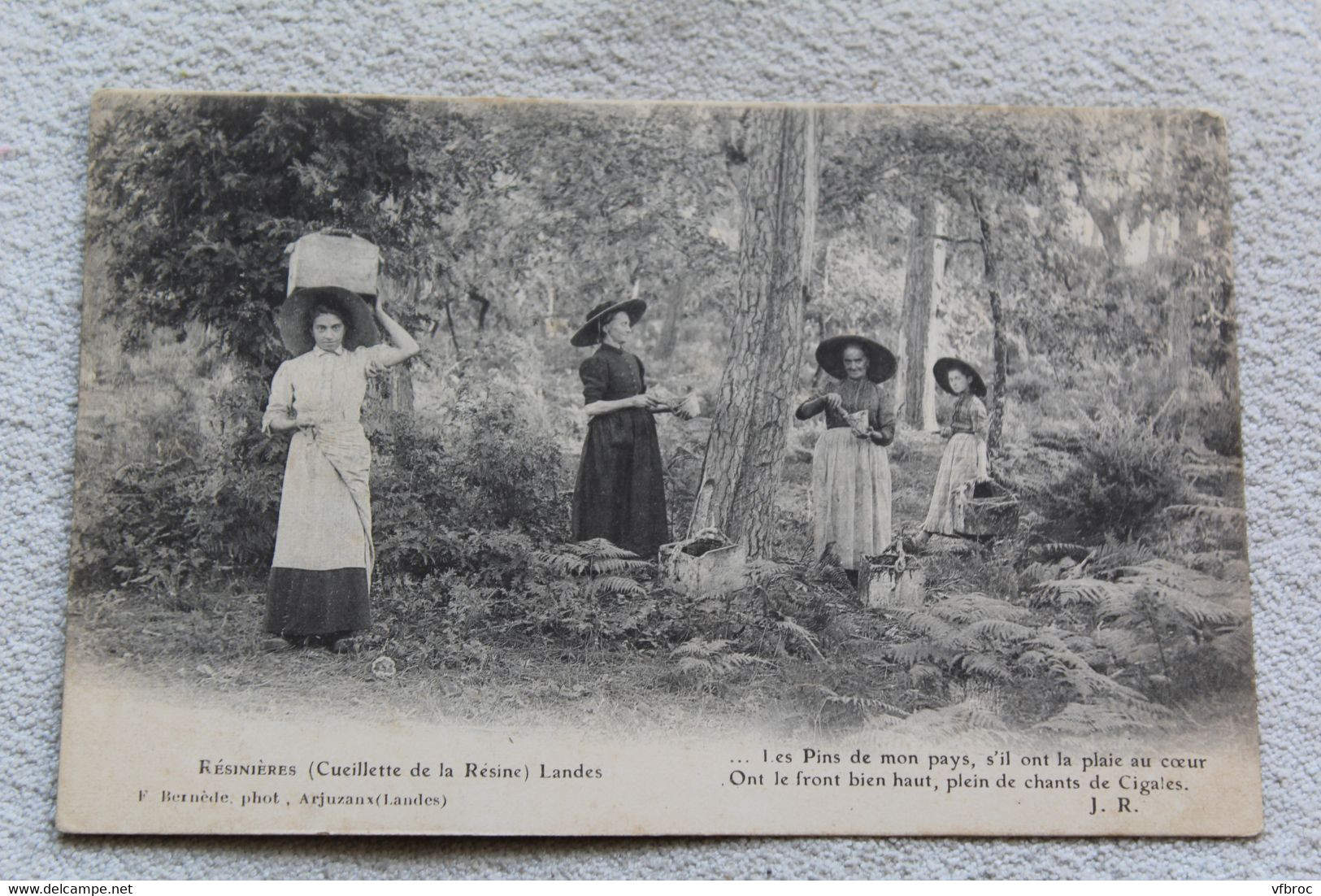 Résinières, cueillette de la résine, Landes 40