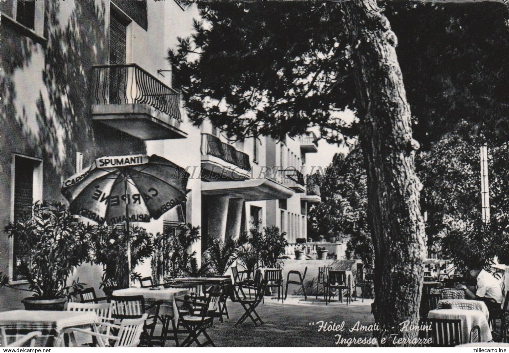 RIMINI - Hotel Amati - Ingresso e Terrazze 1953