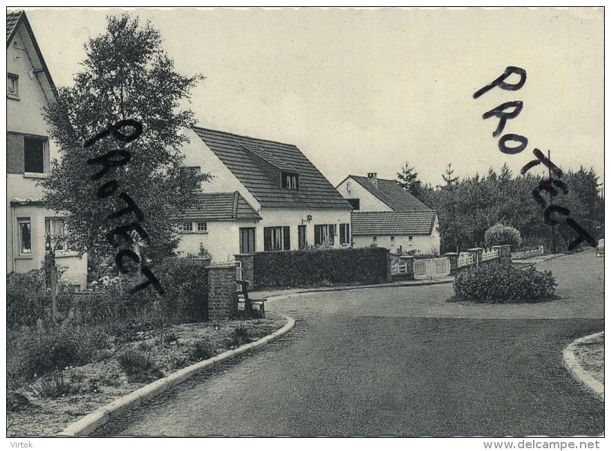 Rixensart :  Avenue Léopold  ( 1965 )  voir scans