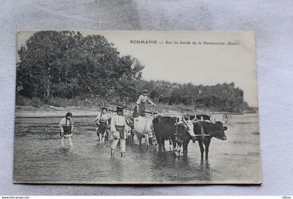 sur les bords de la Dambovitza, Socet, Roumanie