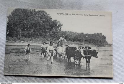 sur les bords de la Dambovitza, Socet, Roumanie